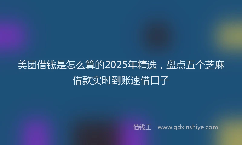 美团借钱是怎么算的2025年精选，盘点五个芝麻借款实时到账速借口子