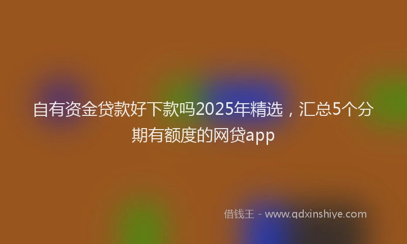 自有资金贷款好下款吗2025年精选，汇总5个分期有额度的网贷app