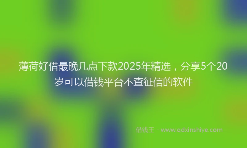 薄荷好借最晚几点下款2025年精选，分享5个20岁可以借钱平台不查征信的软件