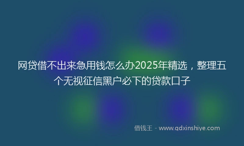 网贷借不出来急用钱怎么办2025年精选，整理五个无视征信黑户必下的贷款口子