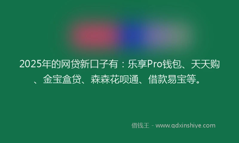 2025年的网贷新口子有：乐享Pro钱包、天天购、金宝盒贷、森森花呗通、借款易宝等。
