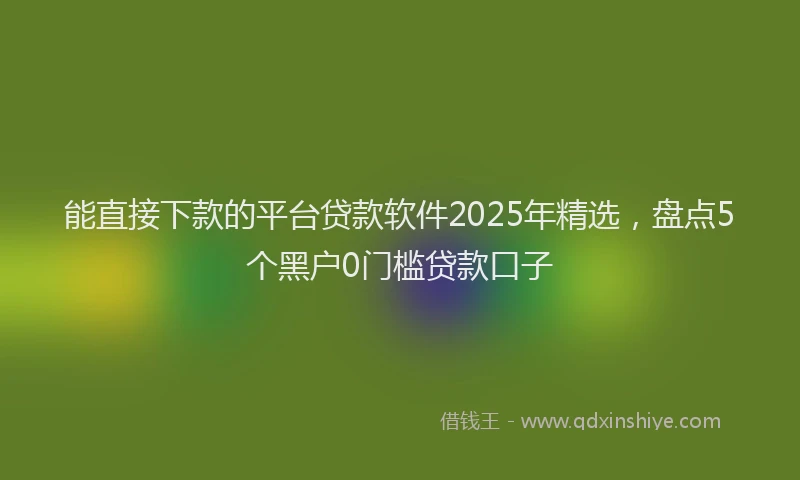能直接下款的平台贷款软件2025年精选，盘点5个黑户0门槛贷款口子