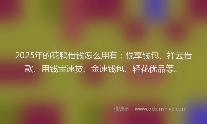 2025年的花鸭借钱怎么用有：悦享钱包、祥云借款、用钱宝速贷、金速钱包、轻花优品等。
