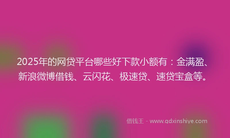 2025年的网贷平台哪些好下款小额有：金满盈、新浪微博借钱、云闪花、极速贷、速贷宝盒等。