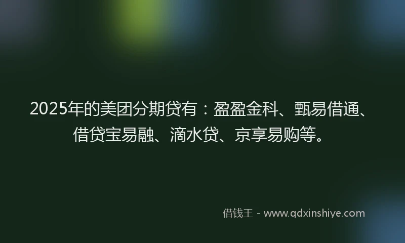 2025年的美团分期贷有：盈盈金科、甄易借通、借贷宝易融、滴水贷、京享易购等。