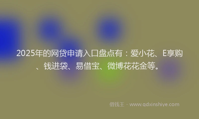 2025年的网贷申请入口盘点有：爱小花、E享购、钱进袋、易借宝、微博花花金等。