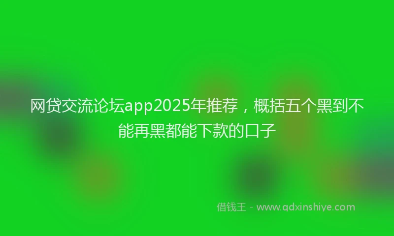 网贷交流论坛app2025年推荐，概括五个黑到不能再黑都能下款的口子