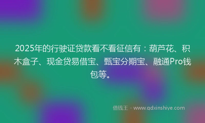 2025年的行驶证贷款看不看征信有：葫芦花、积木盒子、现金贷易借宝、甄宝分期宝、融通Pro钱包等。
