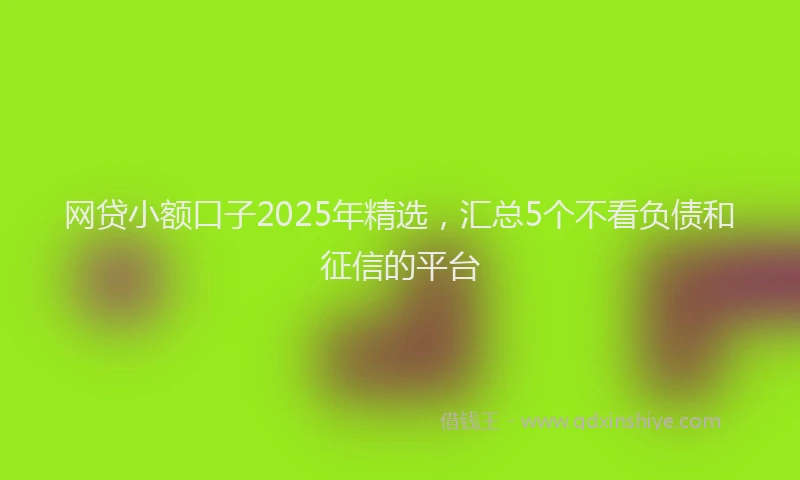 网贷小额口子2025年精选，汇总5个不看负债和征信的平台