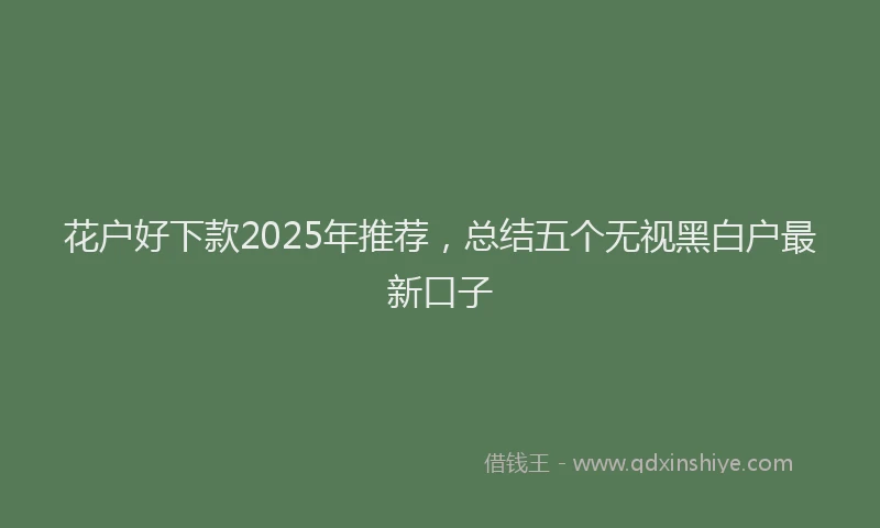 花户好下款2025年推荐，总结五个无视黑白户最新口子