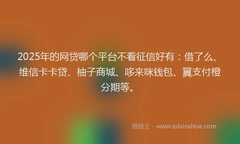 2025年的网贷哪个平台不看征信好有：借了么、维信卡卡贷、柚子商城、哆来咪钱包、翼支付橙分期等。