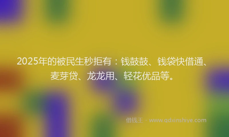 2025年的被民生秒拒有：钱鼓鼓、钱袋快借通、麦芽贷、龙龙用、轻花优品等。