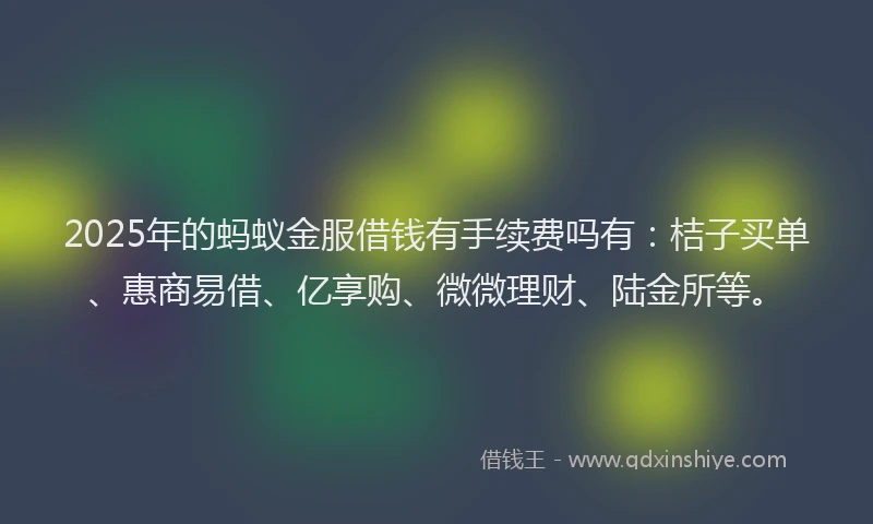 2025年的蚂蚁金服借钱有手续费吗有：桔子买单、惠商易借、亿享购、微微理财、陆金所等。
