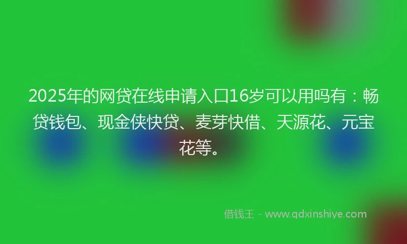 2025年的网贷在线申请入口16岁可以用吗有：畅贷钱包、现金侠快贷、麦芽快借、天源花、元宝花等。