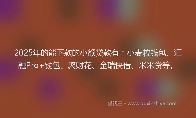 2025年的能下款的小额贷款有：小麦粒钱包、汇融Pro+钱包、聚财花、金瑞快借、米米贷等。