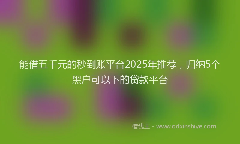 能借五千元的秒到账平台2025年推荐，归纳5个黑户可以下的贷款平台