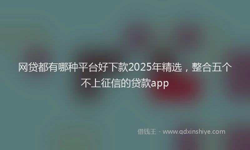 网贷都有哪种平台好下款2025年精选，整合五个不上征信的贷款app