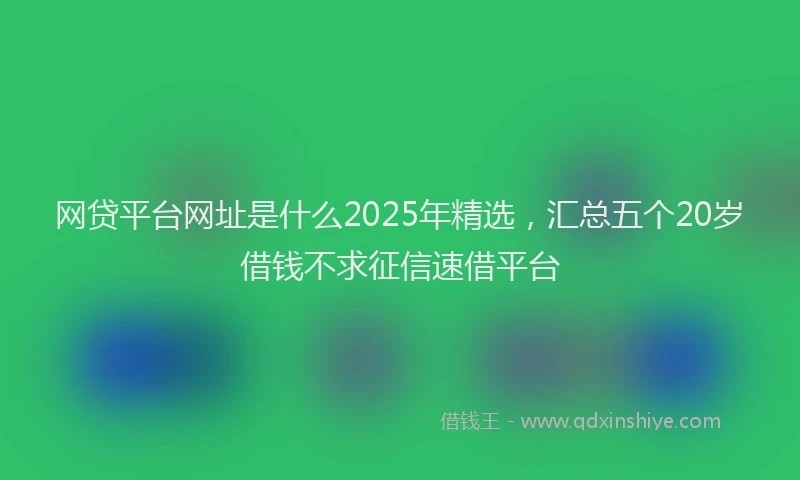 网贷平台网址是什么2025年精选，汇总五个20岁借钱不求征信速借平台