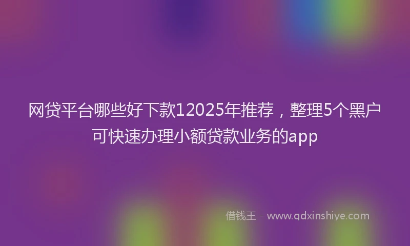 网贷平台哪些好下款12025年推荐，整理5个黑户可快速办理小额贷款业务的app
