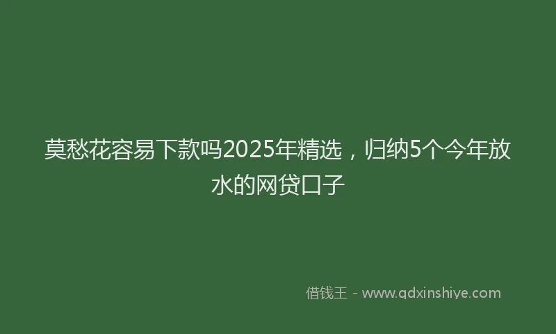 莫愁花容易下款吗2025年精选，归纳5个今年放水的网贷口子