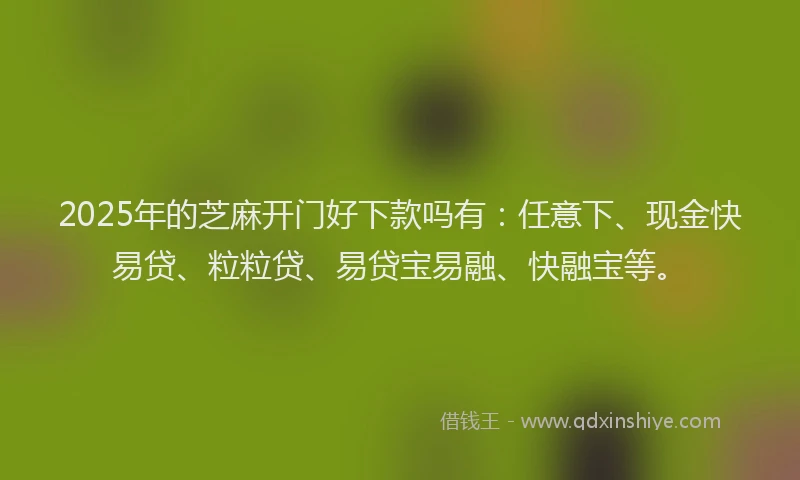 2025年的芝麻开门好下款吗有：任意下、现金快易贷、粒粒贷、易贷宝易融、快融宝等。