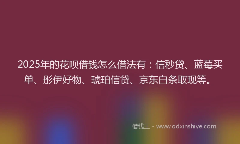 2025年的花呗借钱怎么借法有：信秒贷、蓝莓买单、彤伊好物、琥珀信贷、京东白条取现等。