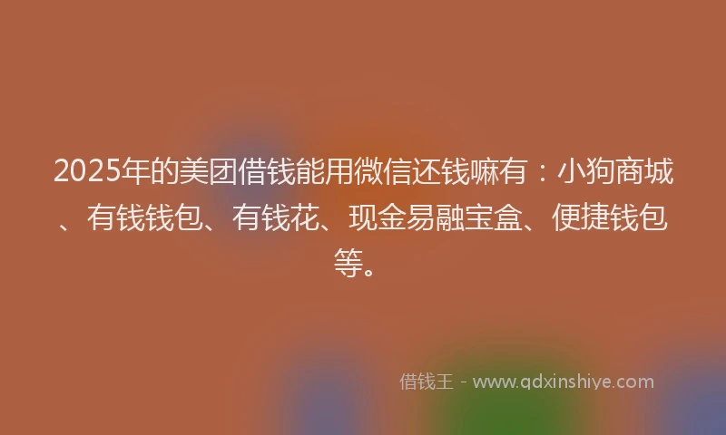 2025年的美团借钱能用微信还钱嘛有：小狗商城、有钱钱包、有钱花、现金易融宝盒、便捷钱包等。