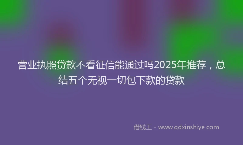营业执照贷款不看征信能通过吗2025年推荐，总结五个无视一切包下款的贷款