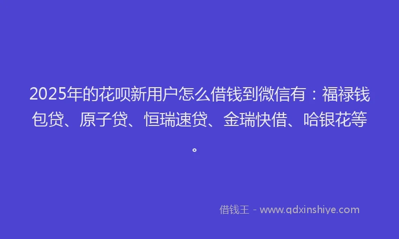 2025年的花呗新用户怎么借钱到微信有：福禄钱包贷、原子贷、恒瑞速贷、金瑞快借、哈银花等。