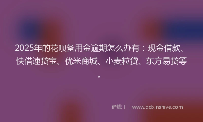 2025年的花呗备用金逾期怎么办有：现金借款、快借速贷宝、优米商城、小麦粒贷、东方易贷等。