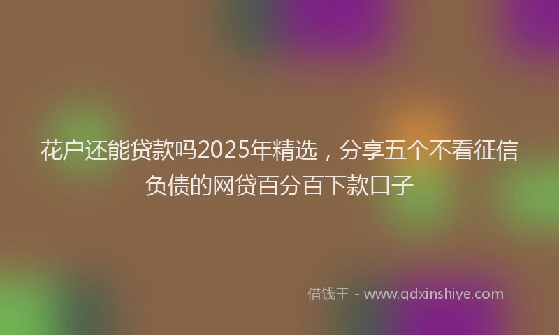 花户还能贷款吗2025年精选，分享五个不看征信负债的网贷百分百下款口子