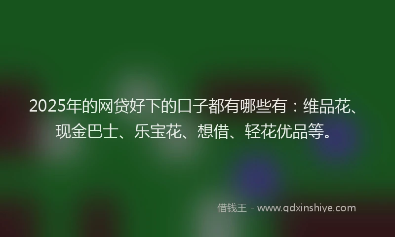 2025年的网贷好下的口子都有哪些有：维品花、现金巴士、乐宝花、想借、轻花优品等。
