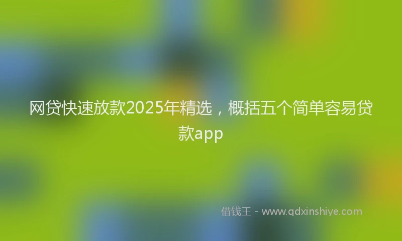 网贷快速放款2025年精选，概括五个简单容易贷款app
