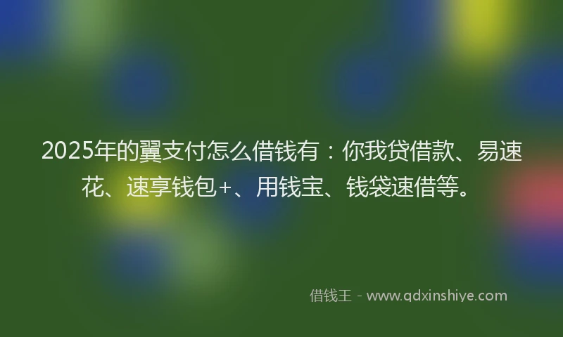 2025年的翼支付怎么借钱有：你我贷借款、易速花、速享钱包+、用钱宝、钱袋速借等。