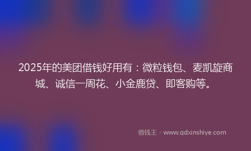 2025年的美团借钱好用有：微粒钱包、麦凯旋商城、诚信一周花、小金鹿贷、即客购等。