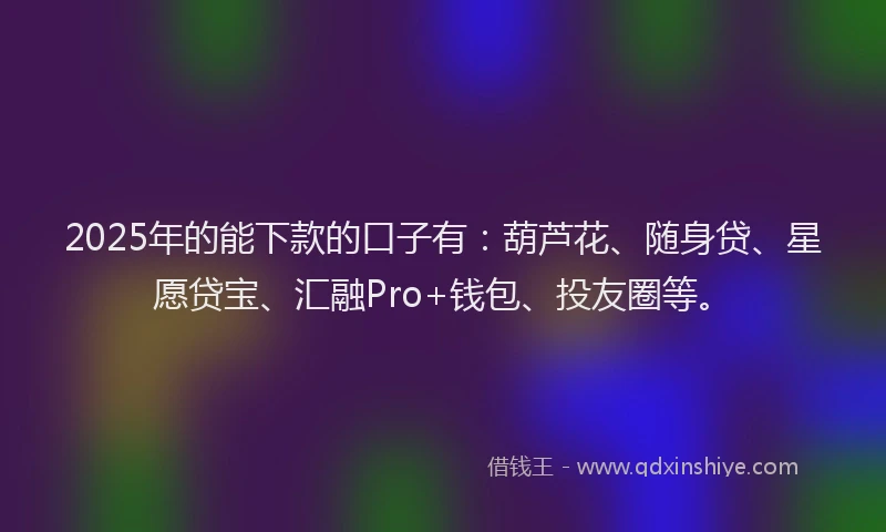 2025年的能下款的口子有：葫芦花、随身贷、星愿贷宝、汇融Pro+钱包、投友圈等。