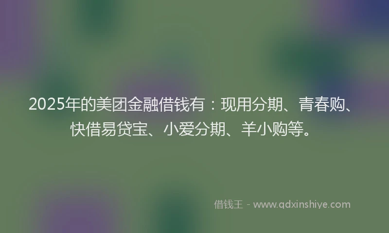 2025年的美团金融借钱有：现用分期、青春购、快借易贷宝、小爱分期、羊小购等。