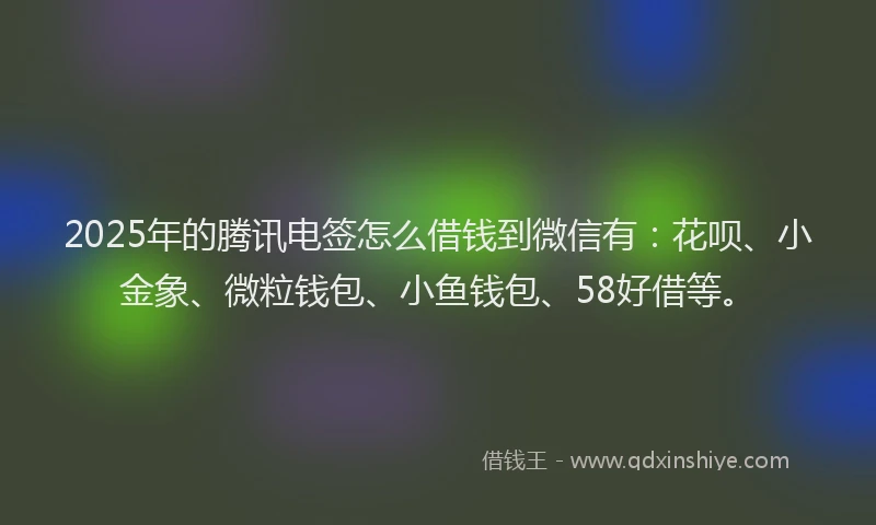 2025年的腾讯电签怎么借钱到微信有：花呗、小金象、微粒钱包、小鱼钱包、58好借等。