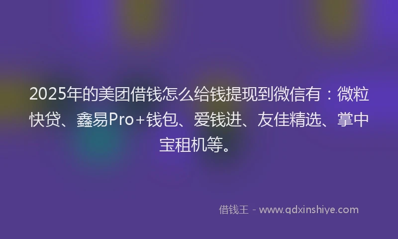 2025年的美团借钱怎么给钱提现到微信有：微粒快贷、鑫易Pro+钱包、爱钱进、友佳精选、掌中宝租机等。