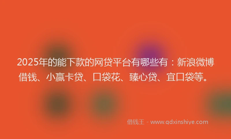 2025年的能下款的网贷平台有哪些有：新浪微博借钱、小赢卡贷、口袋花、臻心贷、宜口袋等。