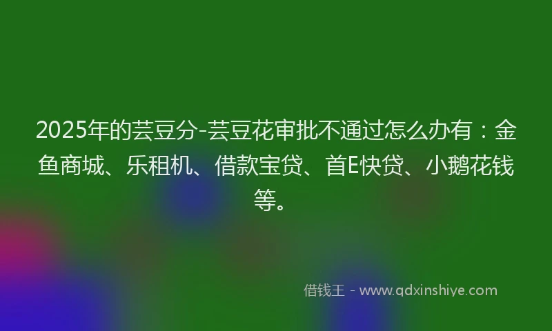 2025年的芸豆分-芸豆花审批不通过怎么办有：金鱼商城、乐租机、借款宝贷、首E快贷、小鹅花钱等。
