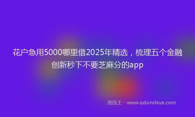 花户急用5000哪里借2025年精选，梳理五个金融创新秒下不要芝麻分的app