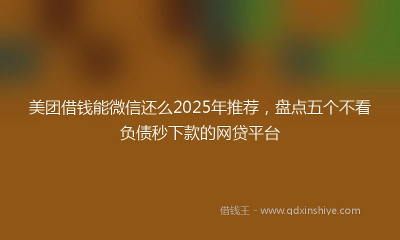 美团借钱能微信还么2025年推荐，盘点五个不看负债秒下款的网贷平台