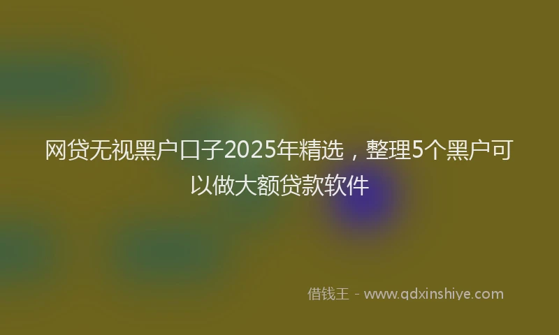 网贷无视黑户口子2025年精选，整理5个黑户可以做大额贷款软件