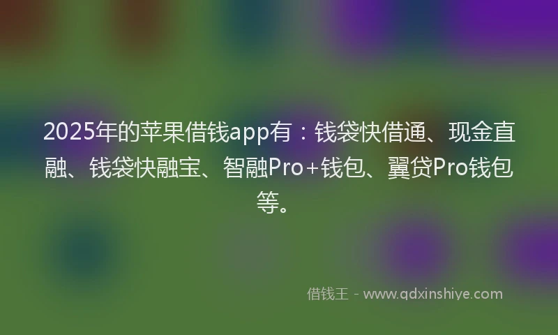 2025年的苹果借钱app有：钱袋快借通、现金直融、钱袋快融宝、智融Pro+钱包、翼贷Pro钱包等。