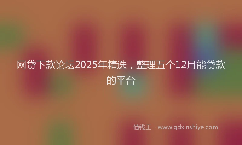 网贷下款论坛2025年精选，整理五个12月能贷款的平台