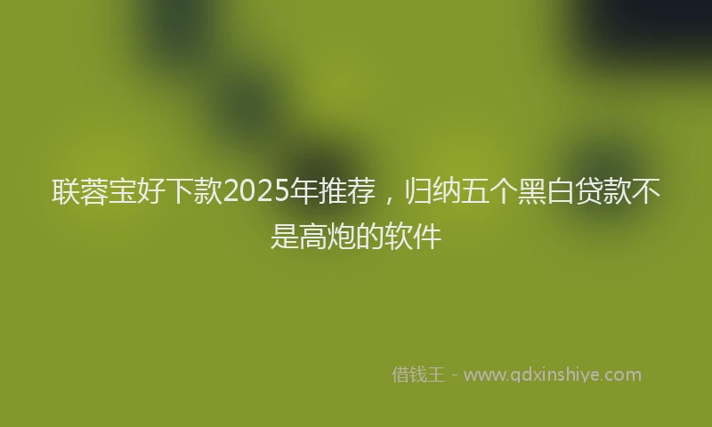 联蓉宝好下款2025年推荐，归纳五个黑白贷款不是高炮的软件