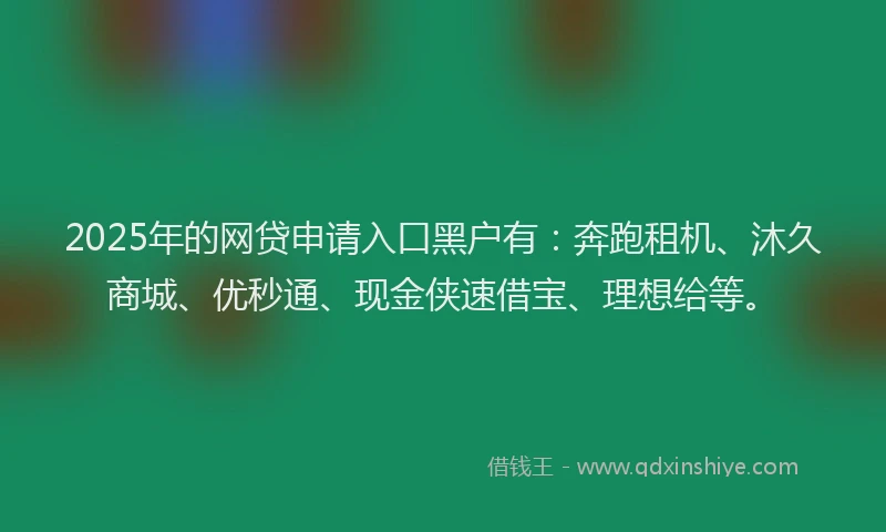 2025年的网贷申请入口黑户有：奔跑租机、沐久商城、优秒通、现金侠速借宝、理想给等。