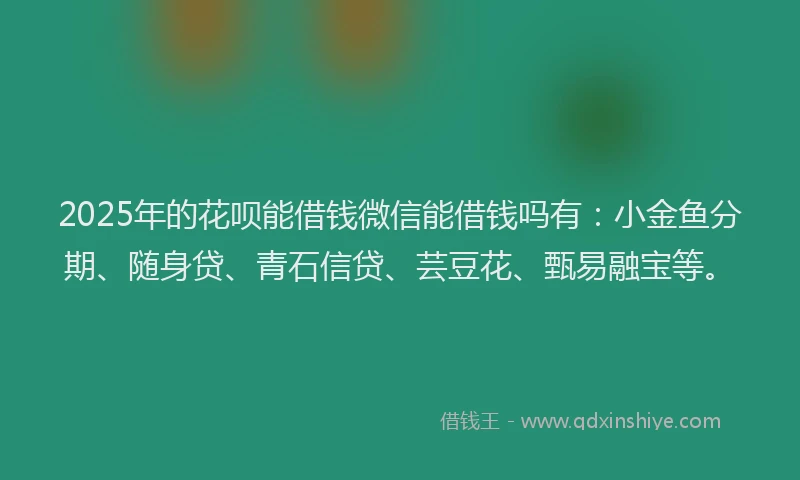 2025年的花呗能借钱微信能借钱吗有：小金鱼分期、随身贷、青石信贷、芸豆花、甄易融宝等。