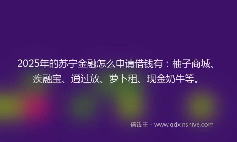 2025年的苏宁金融怎么申请借钱有：柚子商城、疾融宝、通过放、萝卜租、现金奶牛等。